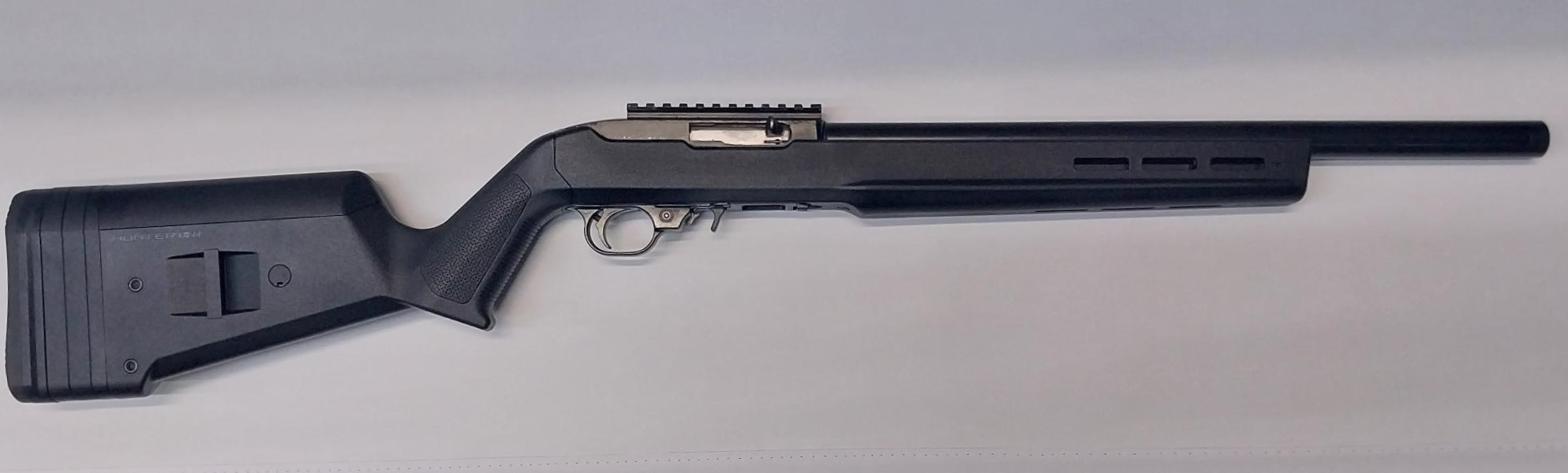 Ruger 10 22